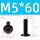 M5*60 (10个)