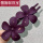 A308-4花朵镶钻夹紫色A04-303