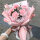 5朵粉色康乃馨花束（3束起送）