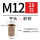 M12*22 (平头/彩锌/20个)