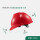 TF0101R红色V顶标准安全帽
