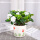 陶瓷盆+栀子花