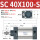 SC_40X100-S