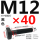 M12*40mm
