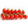千禧番茄原装约200粒