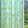 3D山水绿竹