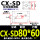 CXSD 80*60