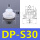 DP-S30