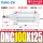 DNC100125