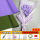 18紫色郁金香带包装纸