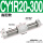 CY1R20-300高配