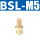 BSL-M5/螺纹M5