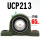UCP213