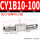 CY1B10-100