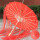 桔红色 红花伞+红流苏飘