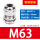 M63(37-44)