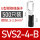 SVS2-4-B