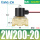 2W200-20/DN20-6分/AC220V