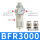 BFR3000(铜滤芯)铁罩/配12m