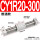 CY1R20-300