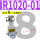 IR1020-01BG 8