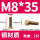 M8*35(2只)