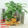 茶壶(大号) 盆+植物