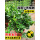 【果期带果】10棵 40-60cm海南小青桔树苗