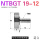 柠檬黄 NTBGT 19-12