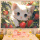 小猫与水果26