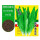 油麦菜种子1包 原厂包装、包发芽
