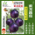 紫龙圆茄