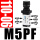 M5PF110-06