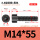 M14*55全(30支)