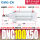 DNC10050PPVA