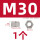 M30(1个)