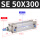 SE50X300