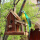 小木屋喂鸟器款+绿鹦鹉