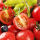 丰产矮生番茄苗50棵(顺丰)