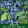 蓝莓绿宝石盆栽大苗(果实中大 甜