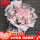 【幸福之约】11朵粉玫瑰混搭绣球花束