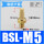 铜BSL-M5长头M5