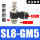 SL8-GM5