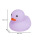 紫色8号鸭20只