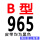 B-965 Li