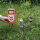 TZS-ECW-G土壤温度，水分，盐分三参数测定仪