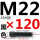 M22*120mm