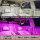 07-09年CRV(4个灯泡)白光+粉紫