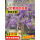 开东阁紫藤1棵/粗2.5cm长3-3.5米