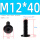 M12*40 (2个)